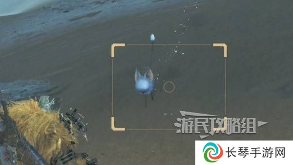 怪物猎人荒野沙野流星位置在哪   沙野流星位置