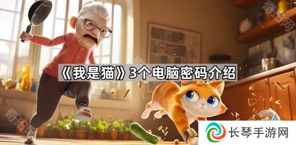 我是猫电脑密码是多少-3个电脑密码介绍