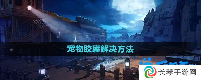 dnf宠物封印胶囊怎么用不了-宠物胶囊用不了解决方法