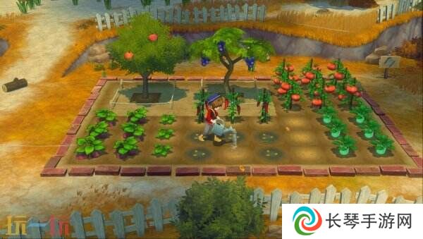 《牧场物语 来吧！风之繁华集市》Switch和Switch2版数字预购开启