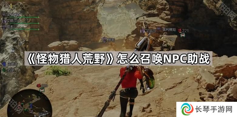 怪物猎人荒野怎么召唤NPC助战-支援猎人助战开启方法