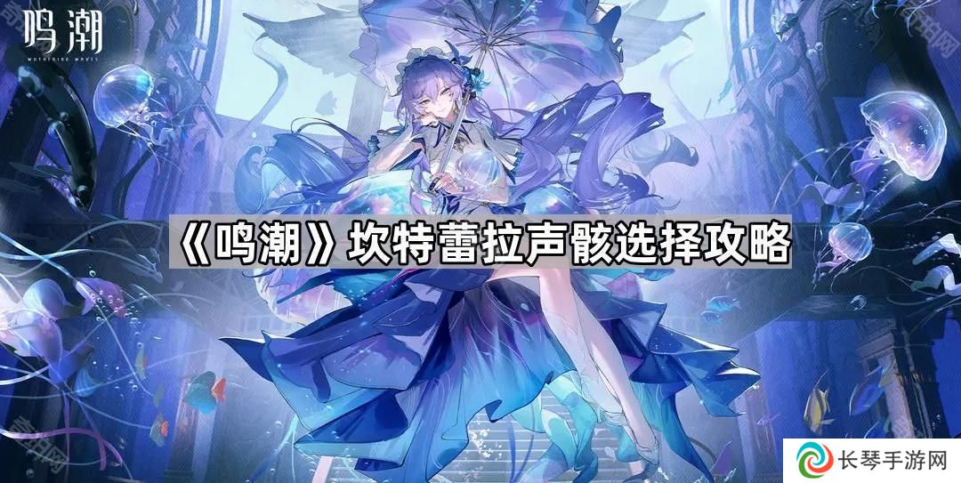 鸣潮坎特蕾拉声骸怎么选-坎特蕾拉声骸搭配攻略