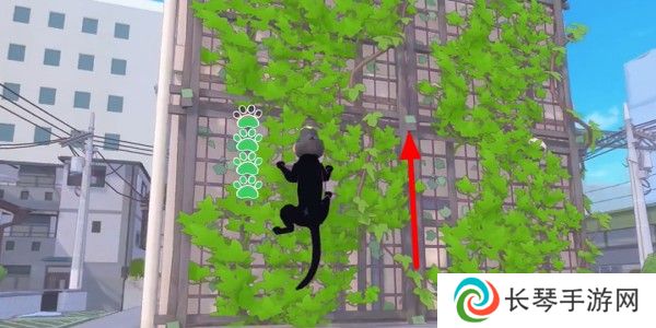 小猫咪大城市螃蟹帽怎么收集