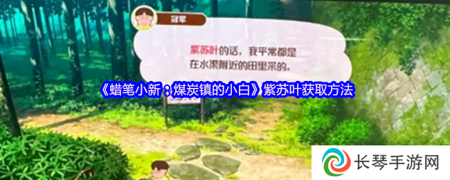 《蜡笔小新：煤炭镇的小白》紫苏叶获取方法