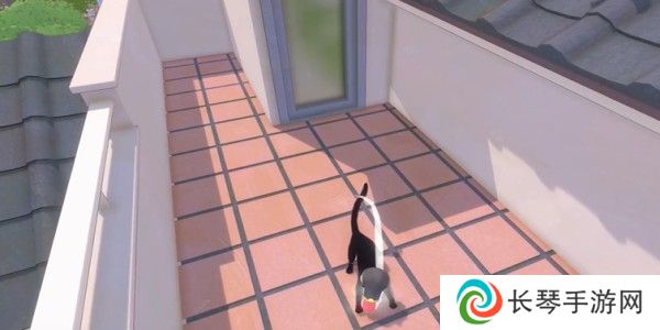 小猫咪大城市螃蟹帽怎么收集
