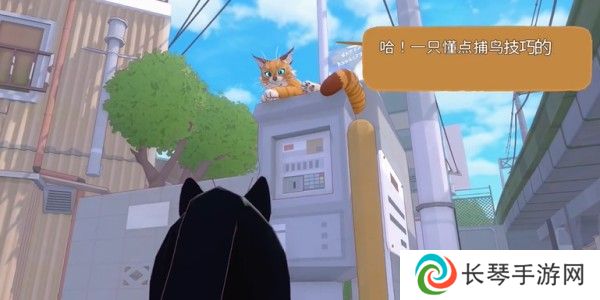 小猫咪大城市伸个大懒腰动作怎么获得