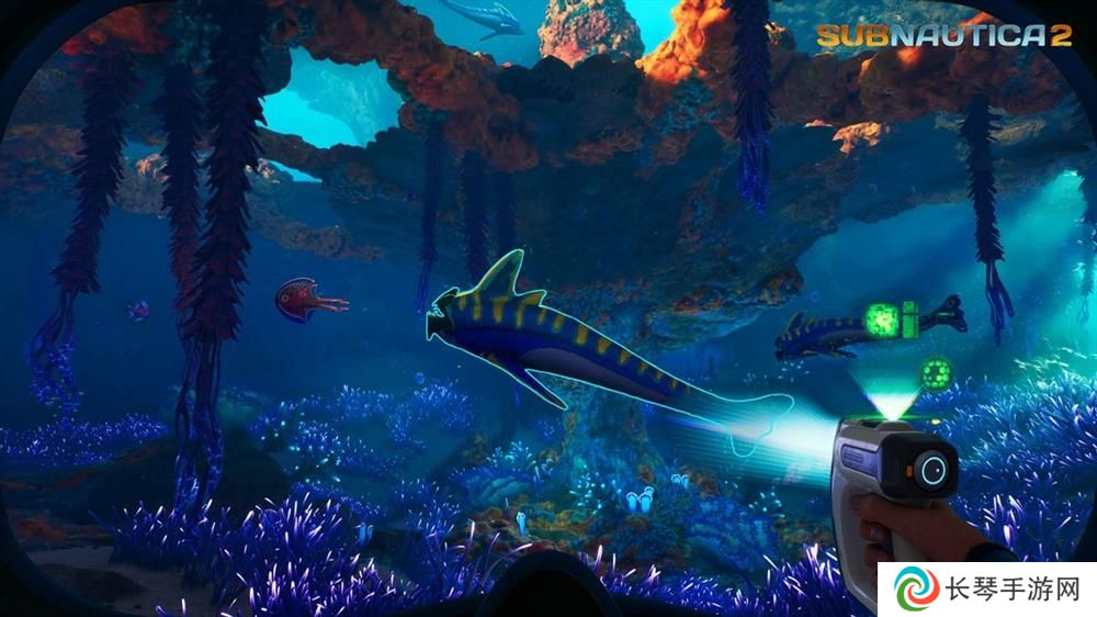 Unknown Worlds公开《Subnautica 2》最新信息