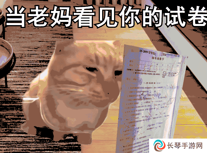 占据互联网大半的猫梗，永远是人们生活的调味剂