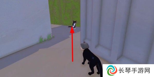 小猫咪大城市日常美容动作怎么获得