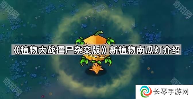 植物大战僵尸杂交版新植物南瓜灯怎么样-新植物南瓜灯介绍