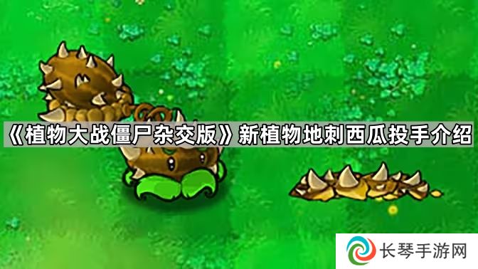 植物大战僵尸杂交版地刺西瓜投手怎么样-新植物地刺西瓜投手介绍