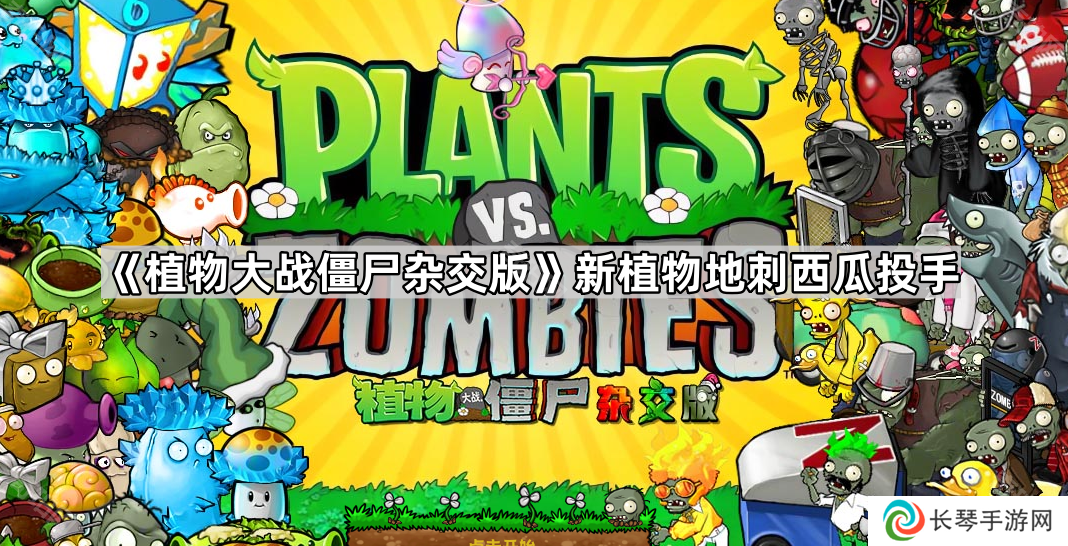 植物大战僵尸杂交版地刺西瓜投手是什么-地刺西瓜投手