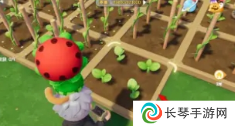 《心动小镇》奇灵夜季南瓜雕刻任务攻略