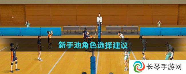 《排球少年新的征程》新手池角色选择建议