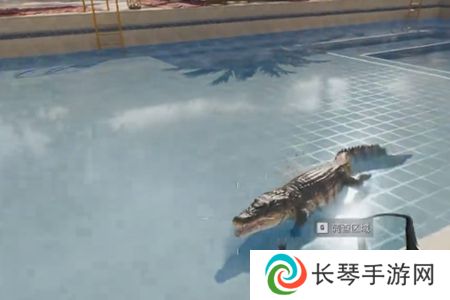 《三角洲行动》鳄鱼用途介绍