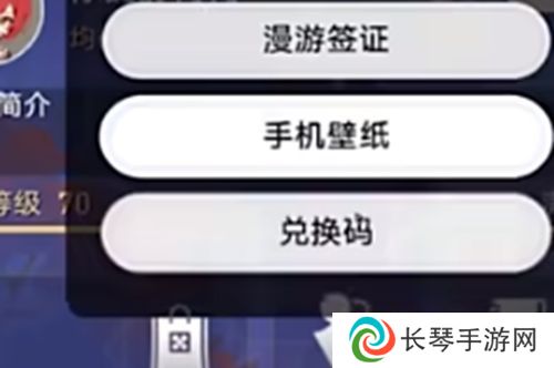 崩坏星穹铁道2.4前瞻直播兑换码 最新可用300星琼兑换码分享
