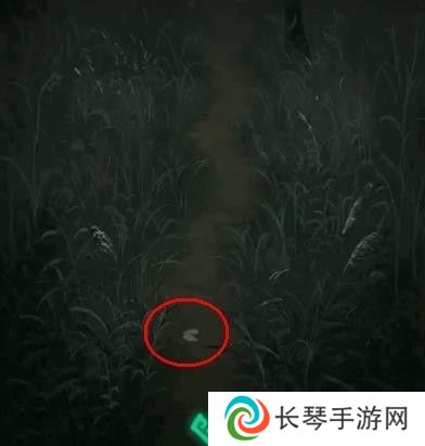 纸嫁衣1第四章攻略